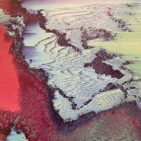 Brainwaltzera - Poly-Ana (4260544820298) виниловая пластинка - фото 2