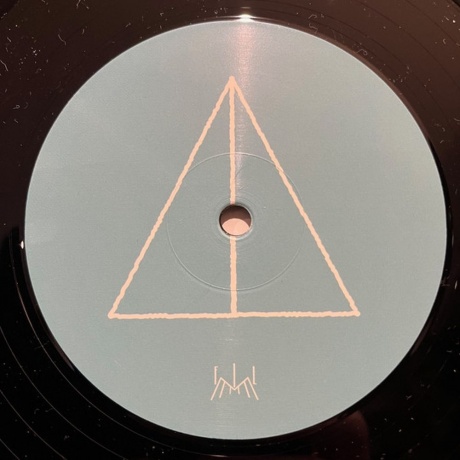 Brainwaltzera - Poly-Ana (4260544820298) виниловая пластинка - фото 5