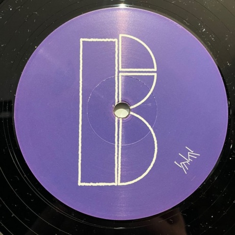 Brainwaltzera - Poly-Ana (4260544820298) виниловая пластинка - фото 6