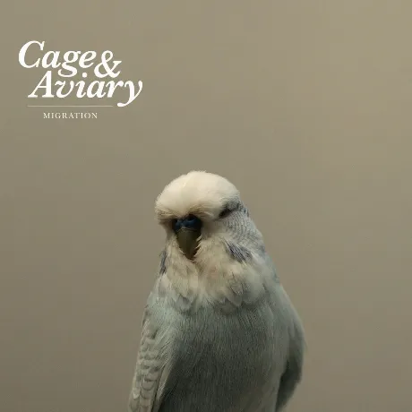 Cage & Aviary - Migration (0827170399068) виниловая пластинка