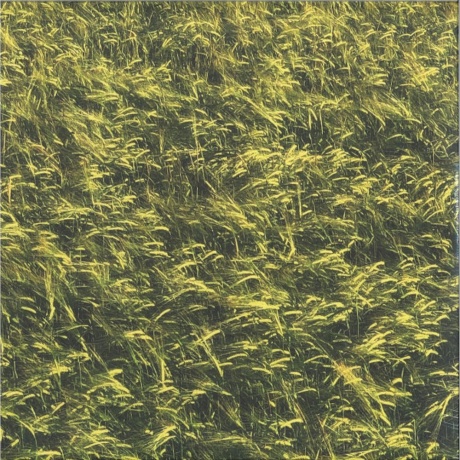 Skee Mask - Pool (4601620109362) виниловая пластинка - фото 1