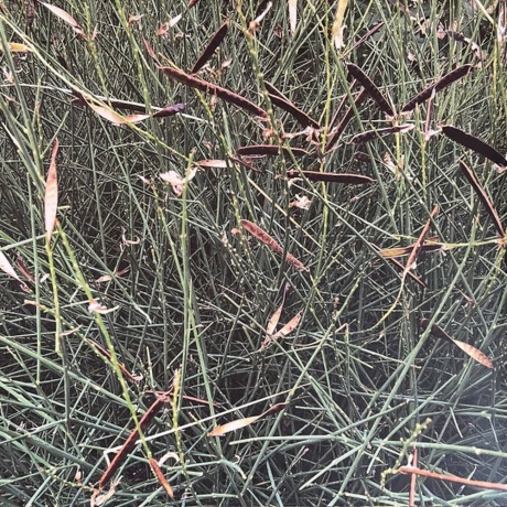 Skee Mask - Pool (4601620109362) виниловая пластинка - фото 2