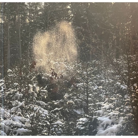 Skee Mask - Pool (4601620109362) виниловая пластинка - фото 3