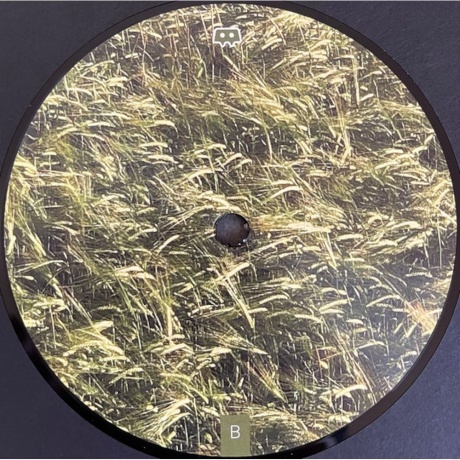 Skee Mask - Pool (4601620109362) виниловая пластинка - фото 6