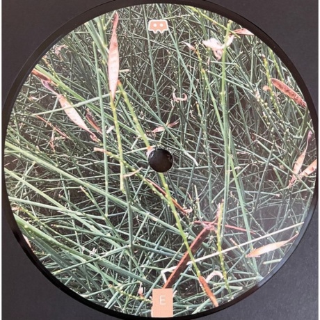 Skee Mask - Pool (4601620109362) виниловая пластинка - фото 9