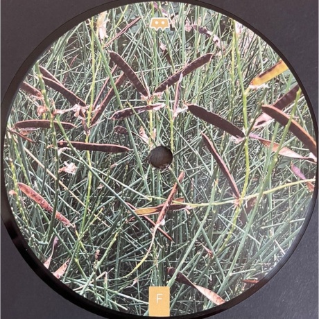 Skee Mask - Pool (4601620109362) виниловая пластинка - фото 10