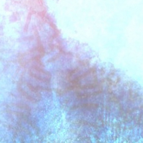 

Scuba Death - The Worm At The Core (4260038317327) виниловая пластинка