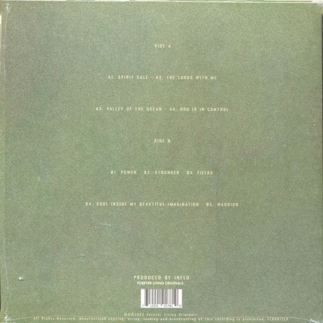 Sault - Earth (0712221017810) виниловая пластинка - фото 2