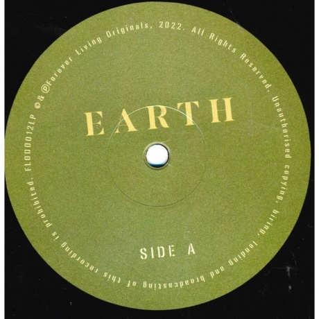 Sault - Earth (0712221017810) виниловая пластинка - фото 3