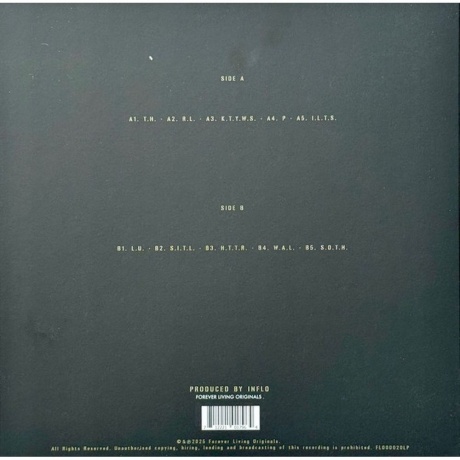 Sault - 10 (0712221017964) виниловая пластинка - фото 2