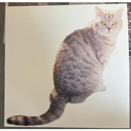 Sarter Kit - What I Am And What I'M Not (4251804185196) винилова...