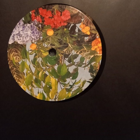 Polygonia; Popp - Candid (4251804142649) виниловая пластинка - фото 3