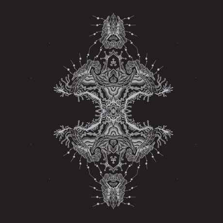 Pfirter - Altered States (4251804127936) виниловая пластинка - фото 1