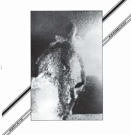 Nuts & Co - Kangourou (3516628314018) виниловая пластинка