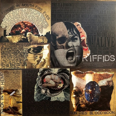 Norma Jean - Wrongdoers (Coloured) (0888072627048) виниловая пластинка - фото 10