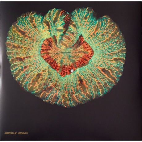 Animal Collective - Tangerine Reef (0887828043019) виниловая пластинка - фото 4