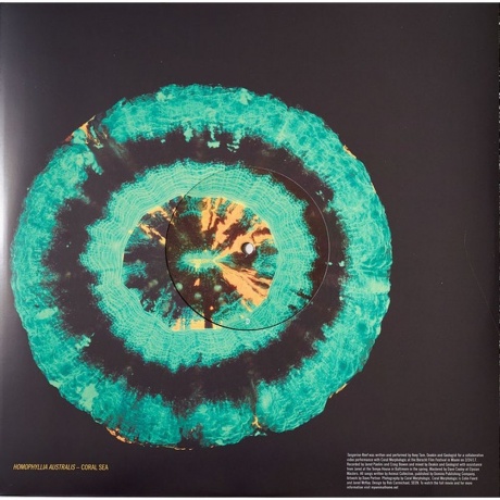 Animal Collective - Tangerine Reef (0887828043019) виниловая пластинка - фото 7