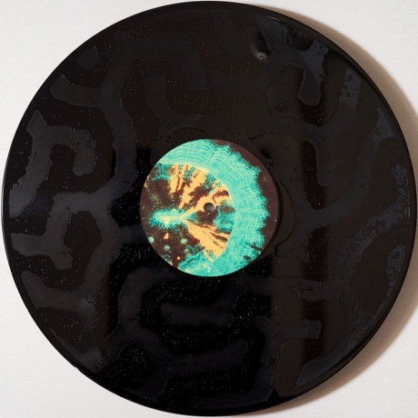 Animal Collective - Tangerine Reef (0887828043019) виниловая пластинка - фото 8