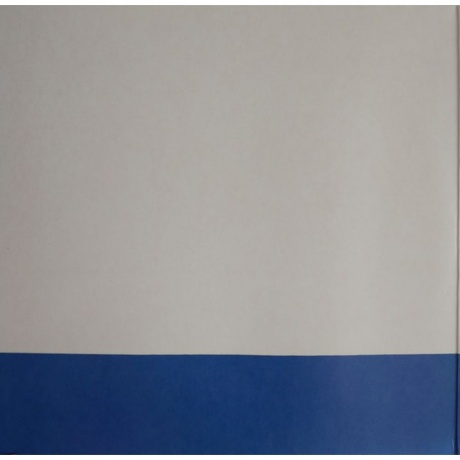 Hot Chip - Joy In Repetition (Coloured) (0887828055838) виниловая пластинка - фото 3