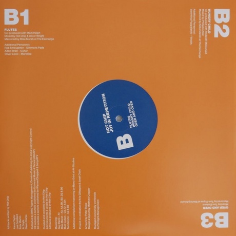 Hot Chip - Joy In Repetition (Coloured) (0887828055838) виниловая пластинка - фото 9