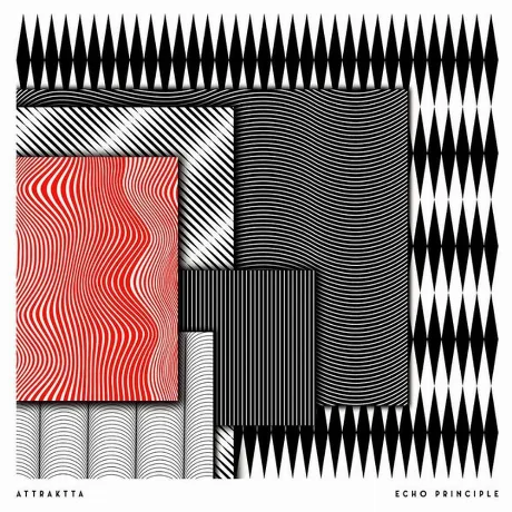 Attraktta - Echo Principle (4260544825361) виниловая пластинка