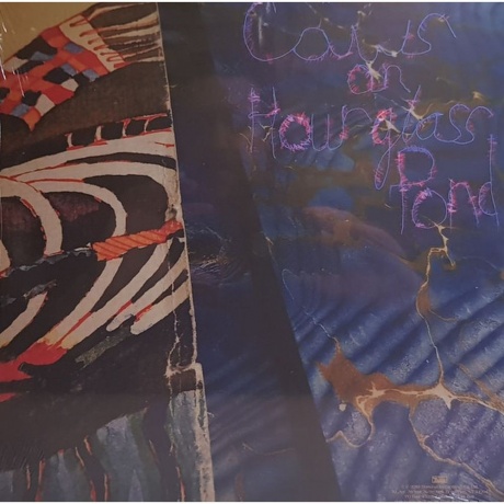 Avey Tare - Cows On Hourglass Pond (0887828044719) виниловая пластинка - фото 2