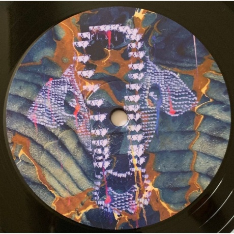 Avey Tare - Cows On Hourglass Pond (0887828044719) виниловая пластинка - фото 3