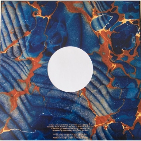 Avey Tare - Cows On Hourglass Pond (0887828044719) виниловая пластинка - фото 5