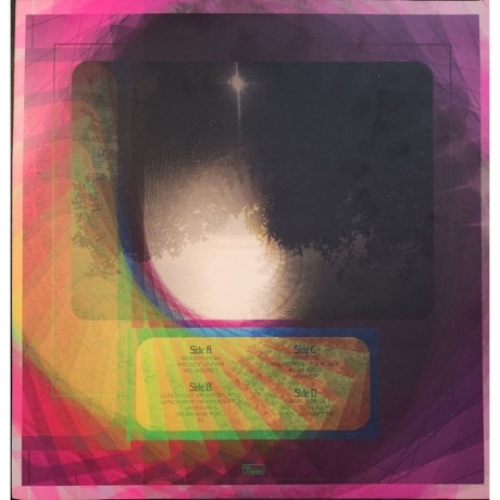 Avey Tare - Eucalyptus (0887828039319) виниловая пластинка - фото 3