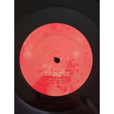 Avey Tare - Eucalyptus (0887828039319) виниловая пластинка - фото 4