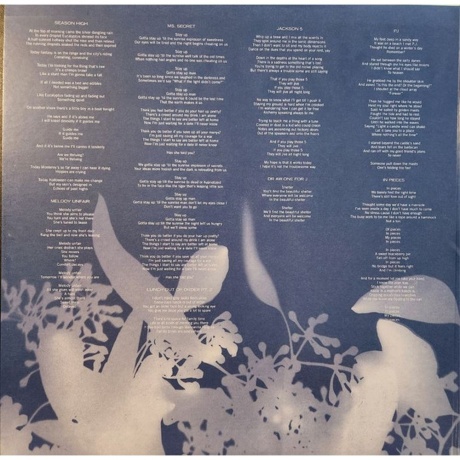 Avey Tare - Eucalyptus (0887828039319) виниловая пластинка - фото 5