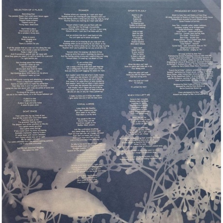 Avey Tare - Eucalyptus (0887828039319) виниловая пластинка - фото 6