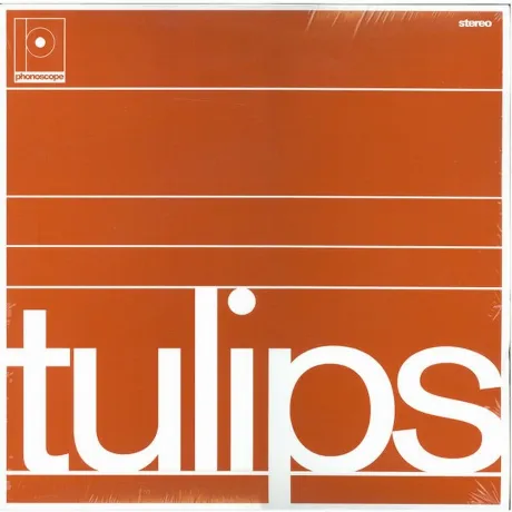 Maston - Tulips (4251648417910) виниловая пластинка