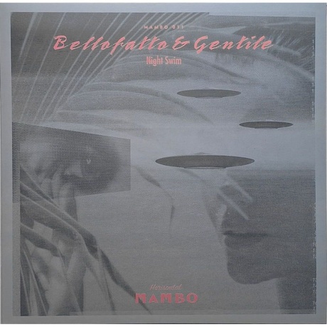 Bellofatto &amp; Gentile - Night Swim (4251804138277) виниловая пластинка - фото 1