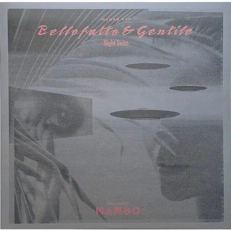 Bellofatto & Gentile - Night Swim (4251804138277) виниловая плас...