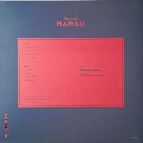 Bellofatto &amp; Gentile - Night Swim (4251804138277) виниловая пластинка - фото 2