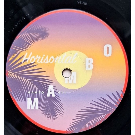 Bellofatto &amp; Gentile - Night Swim (4251804138277) виниловая пластинка - фото 3