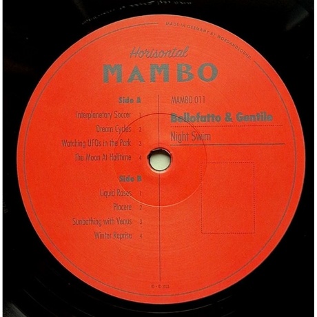 Bellofatto &amp; Gentile - Night Swim (4251804138277) виниловая пластинка - фото 4