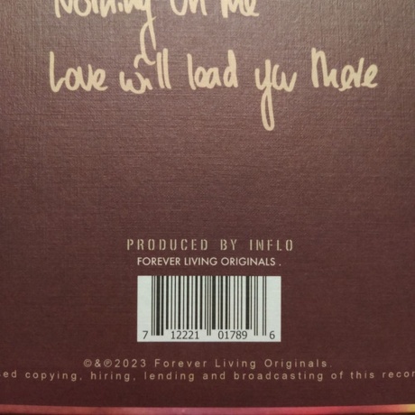 Cleo Sol - Heaven (0712221017896) виниловая пластинка - фото 3