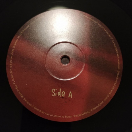 Cleo Sol - Heaven (0712221017896) виниловая пластинка - фото 5