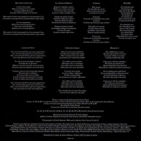 Leonie Pernet - Le Cirque De Consolation (3516628366611) виниловая пластинка - фото 6