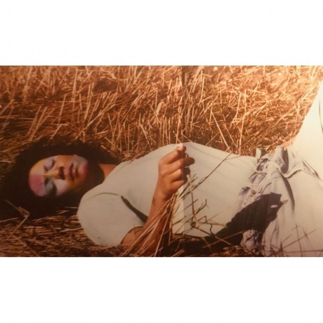 Leonie Pernet - Le Cirque De Consolation (3516628366611) виниловая пластинка - фото 7