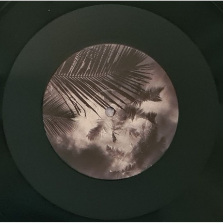 Azu Tiwaline - The Fifth Dream (3516628418013) виниловая пластинка - фото 11