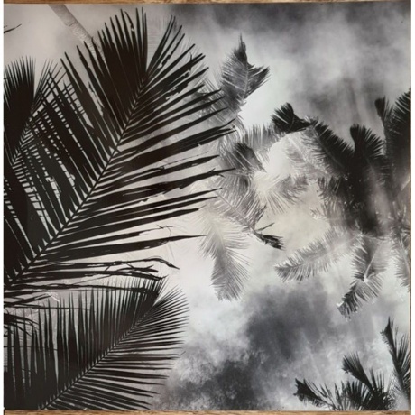 Azu Tiwaline - The Fifth Dream (3516628418013) виниловая пластинка - фото 13