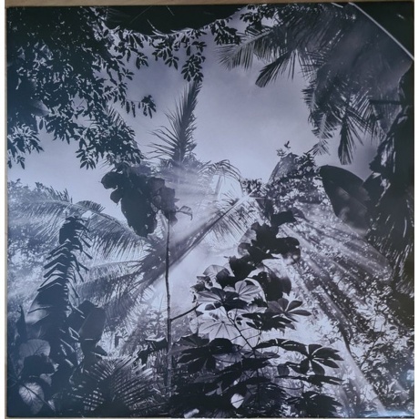 Azu Tiwaline - The Fifth Dream (3516628418013) виниловая пластинка - фото 9