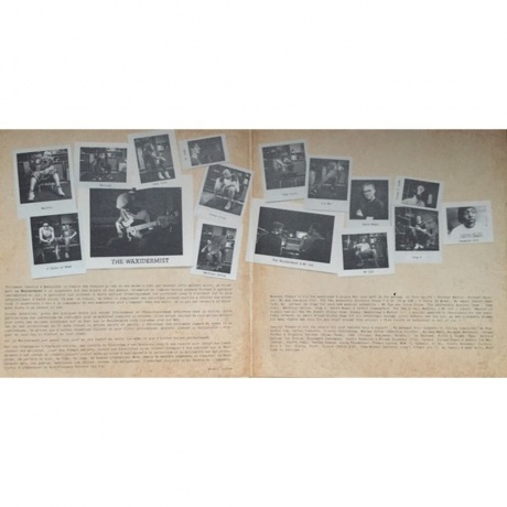 The Waxidermist - The Origami Case (4260544823220) виниловая пластинка - фото 3