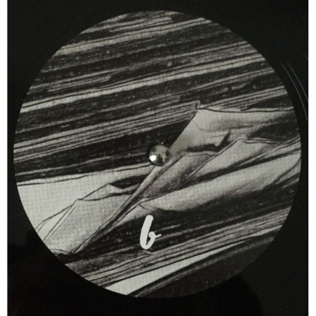 The Waxidermist - The Origami Case (4260544823220) виниловая пластинка - фото 5