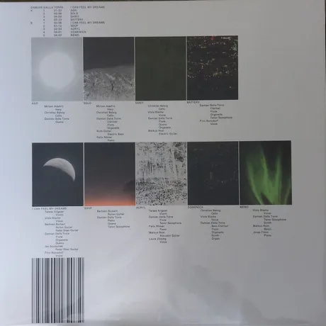 Damian Dalla Torre - I Can Feel My Dreams (4251804182072) винило...