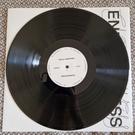 Nala Sinephro - Endlessness (5056614797336) виниловая пластинка - фото 8