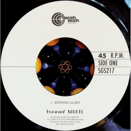 Bernard Xolotl - Music By Xolotl (4040824088521) виниловая пластинка - фото 7